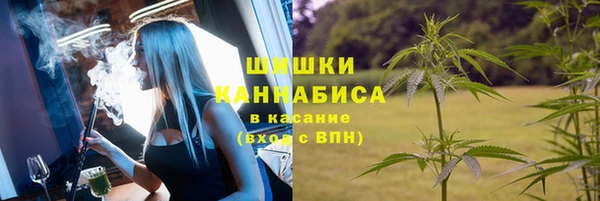тгк Дмитров
