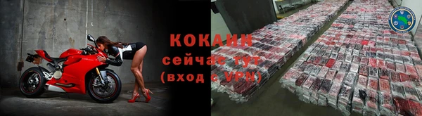 тгк Дмитров