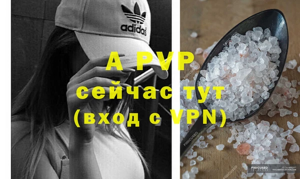 тгк Дмитров