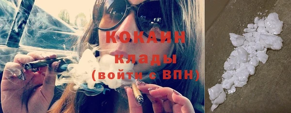 тгк Дмитров