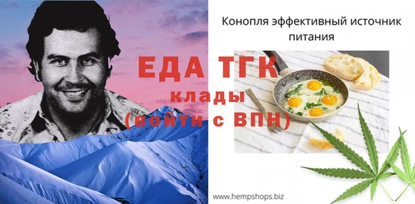 тгк Дмитров