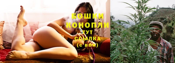 тгк Елабуга