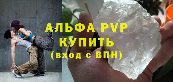 тгк Дмитров