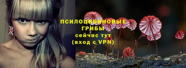 крисы Ельня