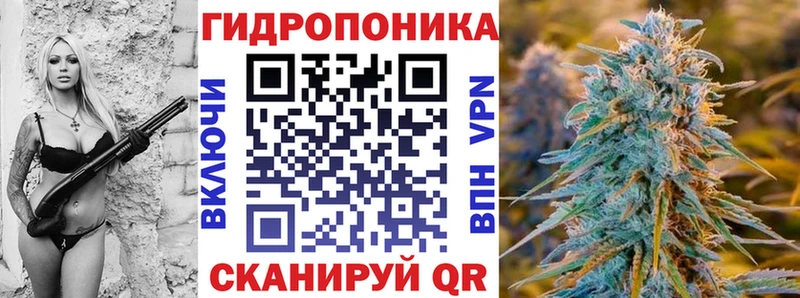Каннабис AK-47 Купить Отрадный